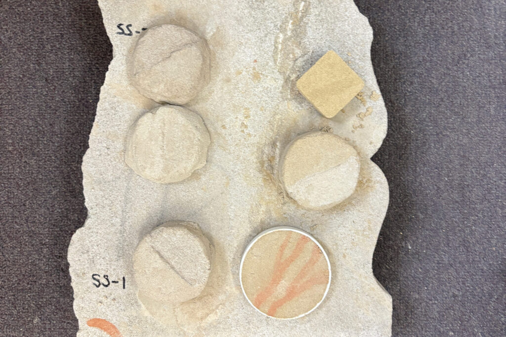 RMsamples